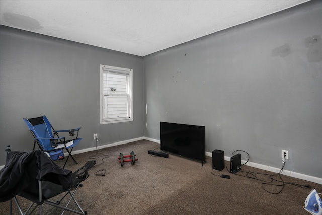 workout room featuring carpet, baseboards, and a textured ceiling