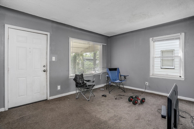 office area with carpet, a textured ceiling, and baseboards