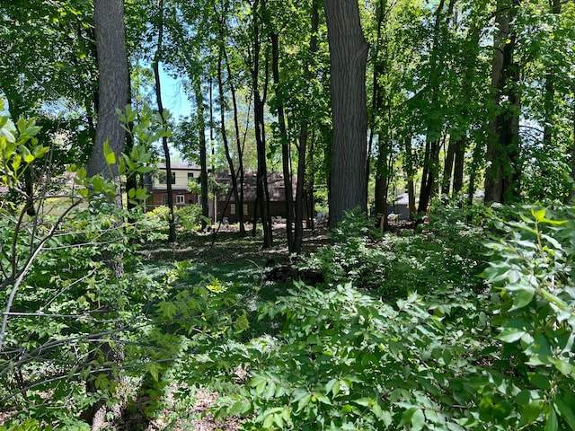 425 S Telegraph Rd, Dearborn, MI 48124