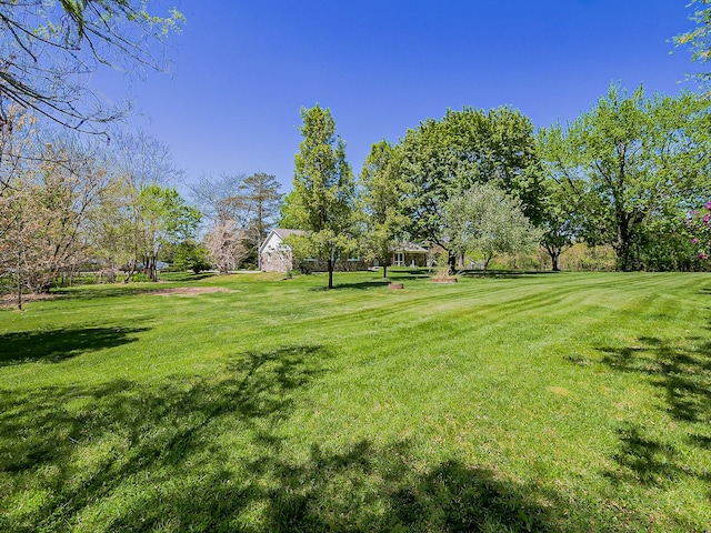 view of grassy yard