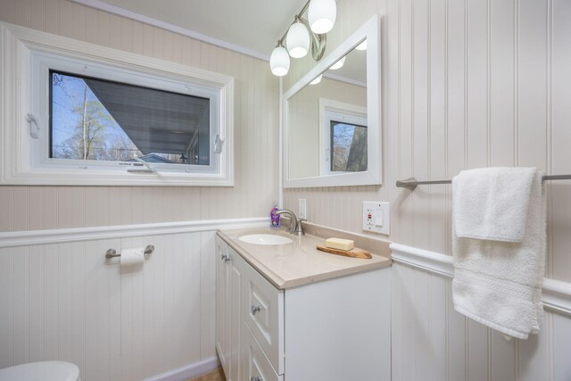 10401 N Chippewa Dr, Evart, MI 49631 - half bath with vanity, healthy amount of natural light, crown molding, and a wainscoted wall