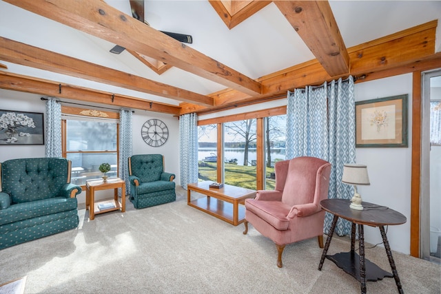 10401 N Chippewa Dr, Evart, MI 49631 - living area with carpet floors and a water view