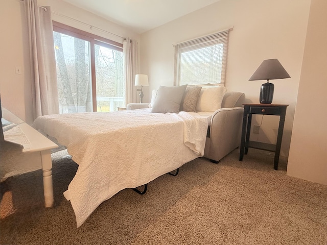 10401 N Chippewa Dr, Evart, MI 49631 - view of carpeted bedroom