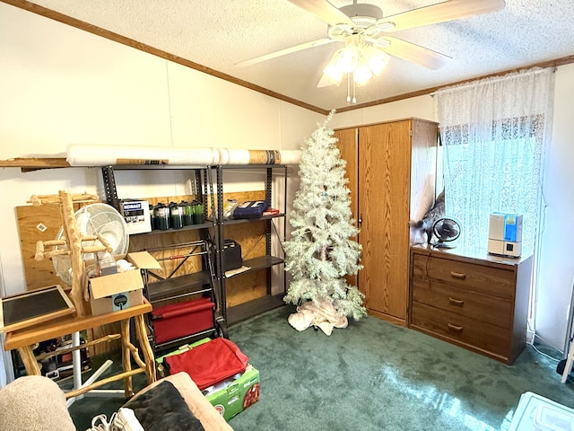 storage with ceiling fan