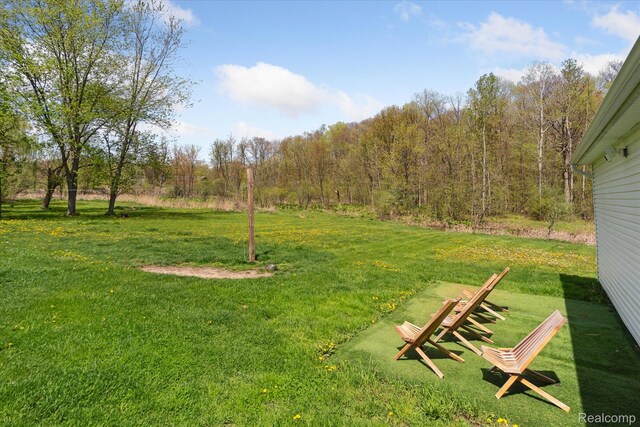 2024 Porter Rd, White Lake, MI 48383 - photo 12