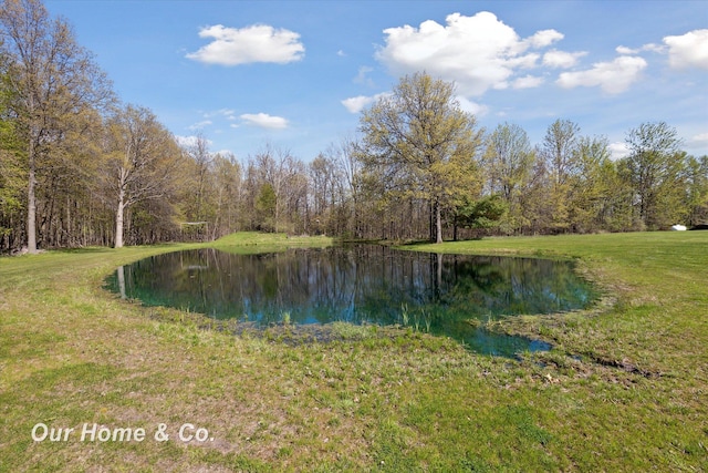 water view with a forest