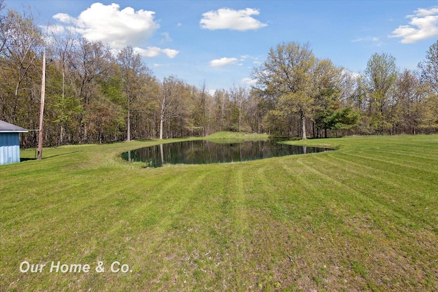 view of green lawn with a water view and a view of trees