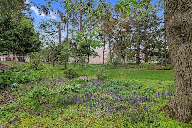 view of yard featuring fence