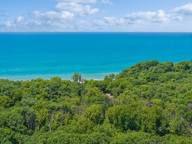10059 Weko Dr, Bridgman, MI 49106 - water view with a heavily wooded area