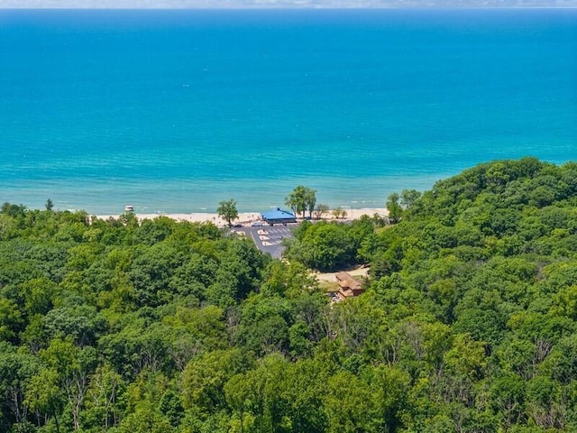 10059 Weko Dr, Bridgman, MI 49106 - bird's eye view of a heavily wooded area and a large body of water