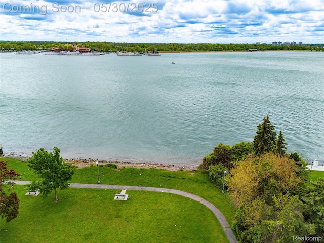 441 Parkview Dr, Detroit, MI 48214 - water view