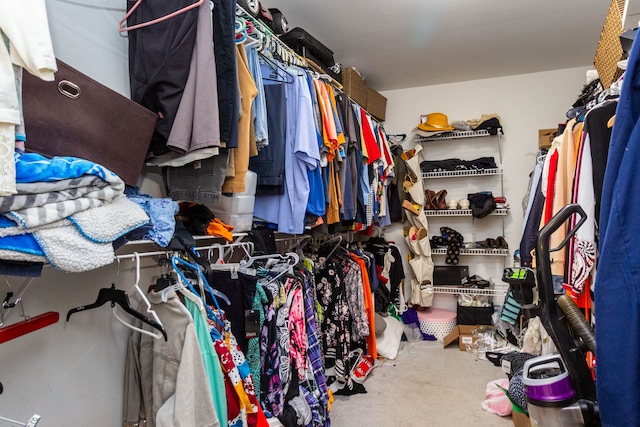 2761 Tomahawk Dr, Waterford, MI 48328 - view of walk in closet