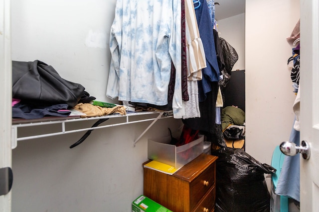 2761 Tomahawk Dr, Waterford, MI 48328 - view of spacious closet