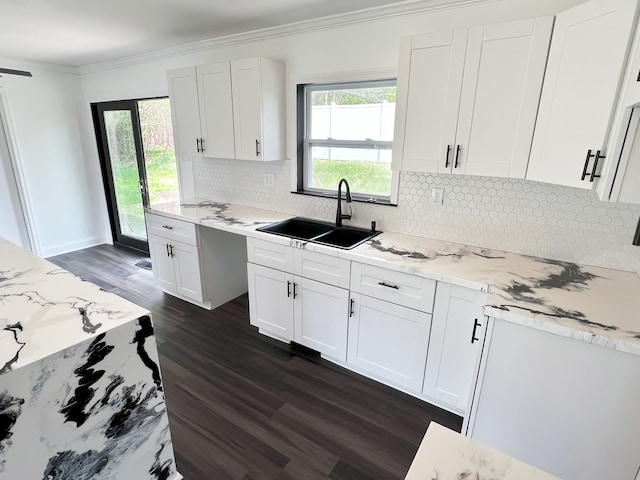 kitchen with a sink, dark wood-style floors, crown molding, white cabinetry, and decorative backsplash