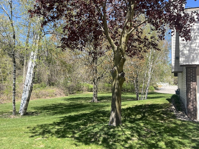 view of green lawn