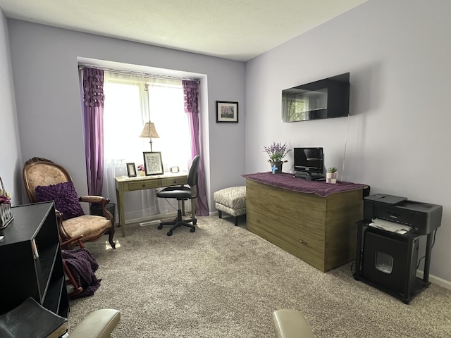 office with carpet floors