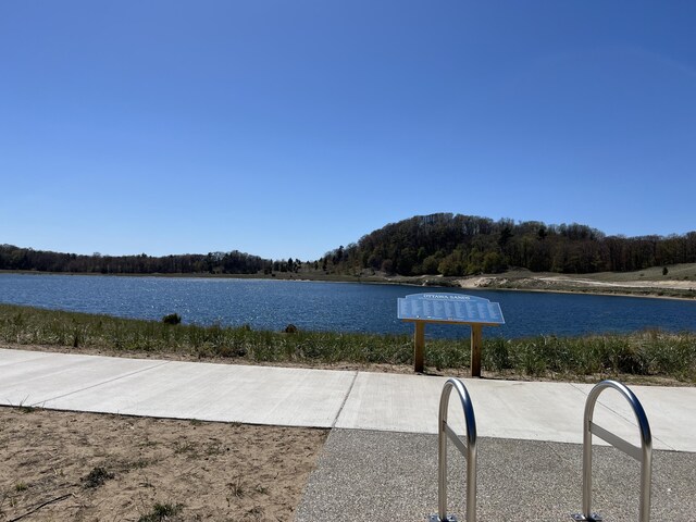 water view with a forest