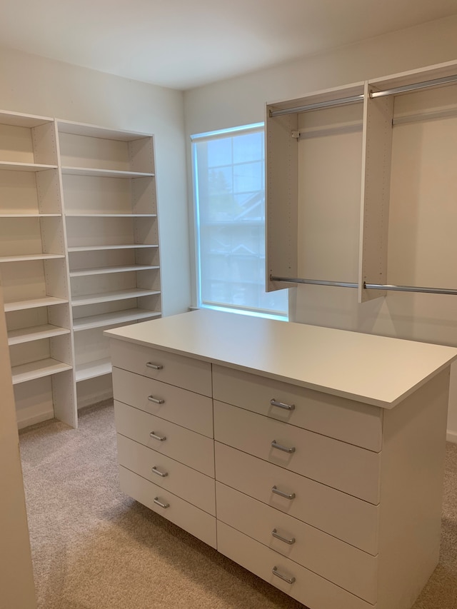 walk in closet with light carpet
