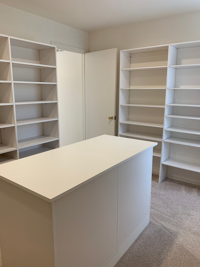 walk in closet with light carpet