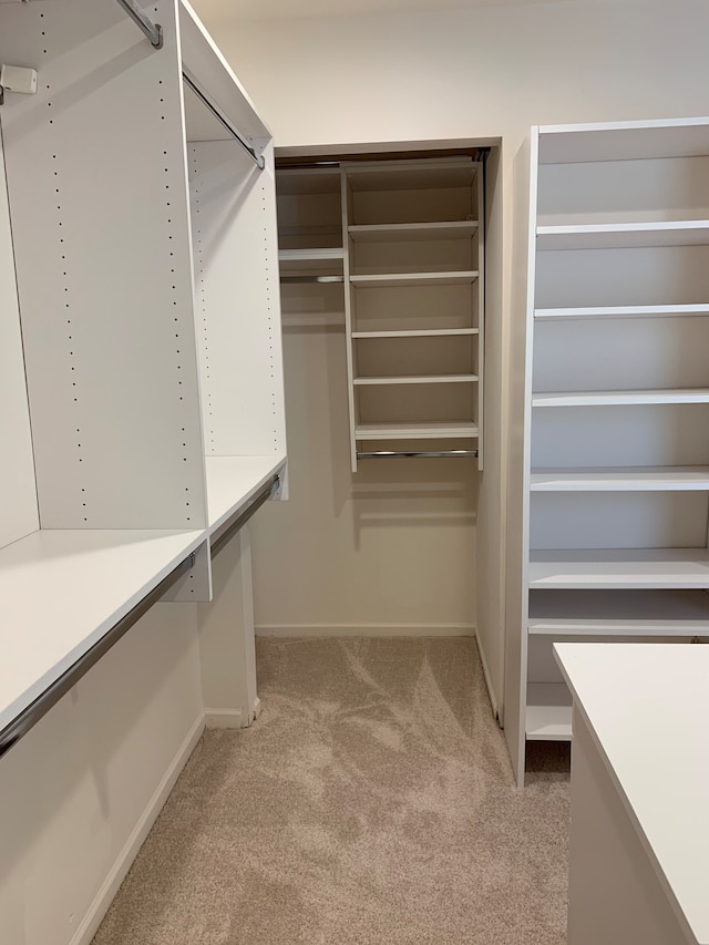 spacious closet with light carpet