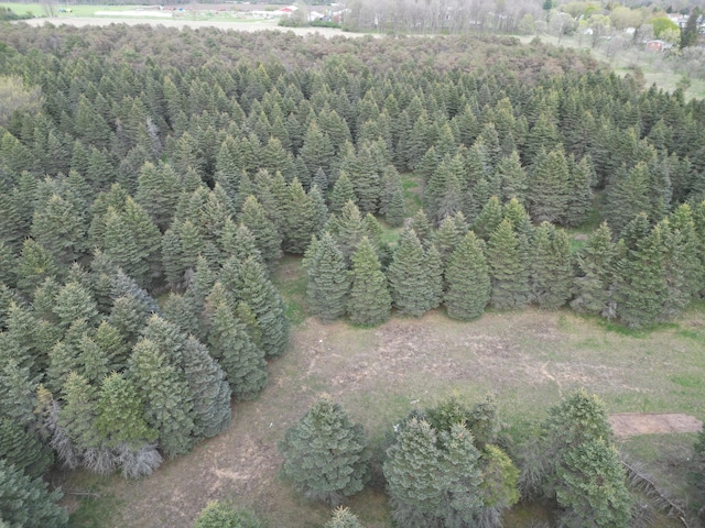 20803 Grandville Rd Unit 213, Big Rapids, MI 49307 - aerial overview of property's location with a heavily wooded area
