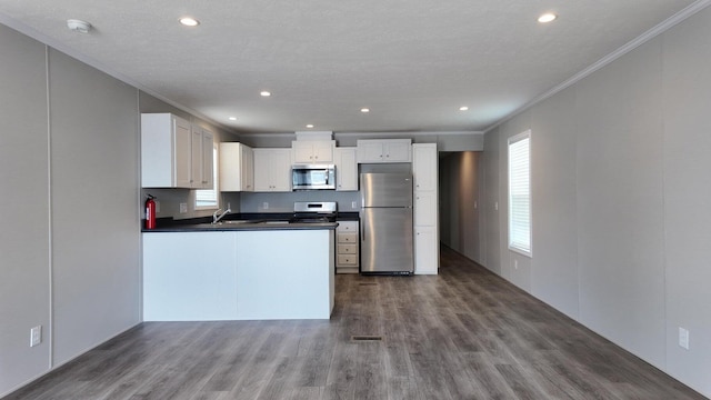 20803 Grandville Rd Unit 213, Big Rapids, MI 49307 - kitchen with stainless steel appliances, crown molding, dark countertops, dark wood-type flooring, and white cabinets