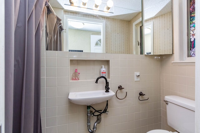 1119 Lambert Dr, Holly, MI 48442 - bathroom with toilet and a sink