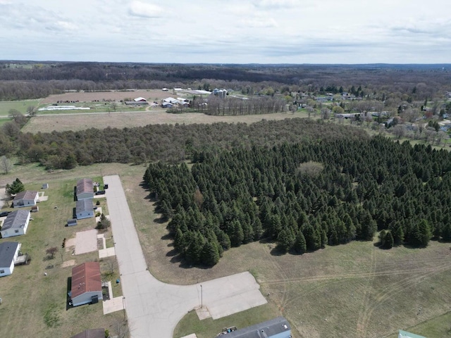20728 Kalamazoo Rd, Big Rapids, MI 49307 - view of property location with a heavily wooded area