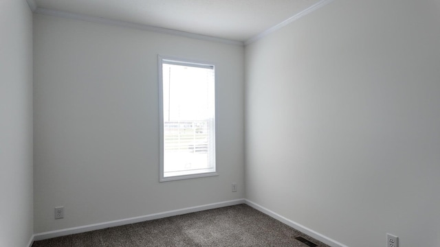 20728 Kalamazoo Rd, Big Rapids, MI 49307 - carpeted empty room with healthy amount of natural light, ornamental molding, and baseboards