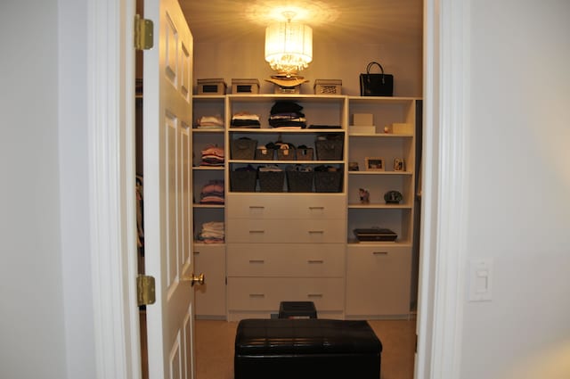 walk in closet with a chandelier and carpet flooring