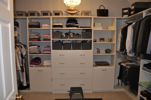 walk in closet with carpet floors