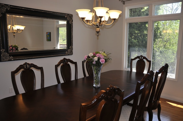 dining space featuring a chandelier, plenty of natural light, wood finished floors, and baseboards