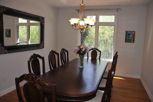 dining space featuring baseboards, plenty of natural light, a chandelier, and wood finished floors