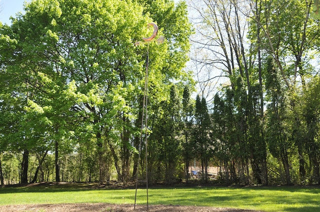 view of green lawn