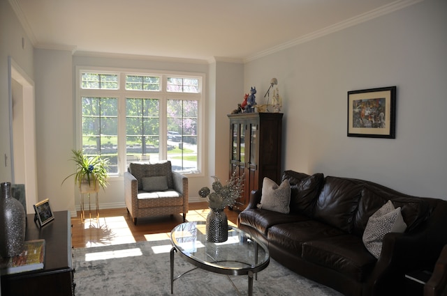 living area with wood finished floors, crown molding, and baseboards