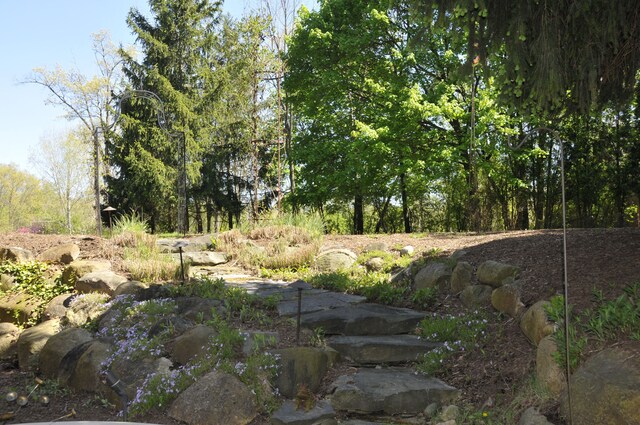 320 N Berkshire Rd, Bloomfield Hills, MI 48302 - view of undeveloped land
