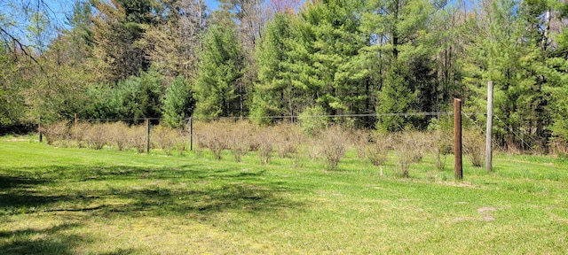 3771 E Loop Rd, Hesperia, MI 49421 - view of woods