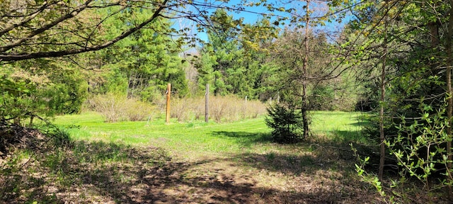 3771 E Loop Rd, Hesperia, MI 49421 - view of tree filled area