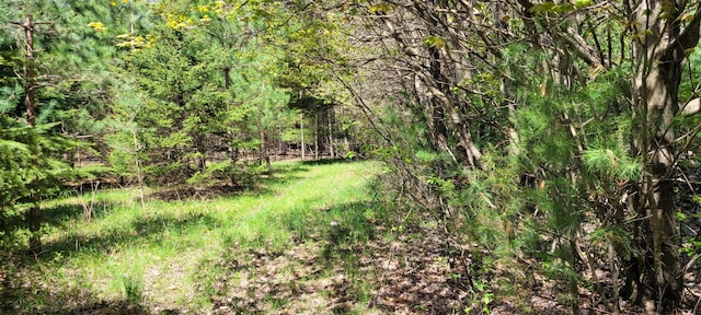3771 E Loop Rd, Hesperia, MI 49421 - view of nature