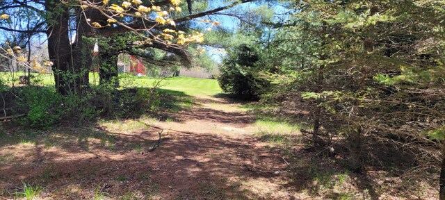 3771 E Loop Rd, Hesperia, MI 49421 - view of yard