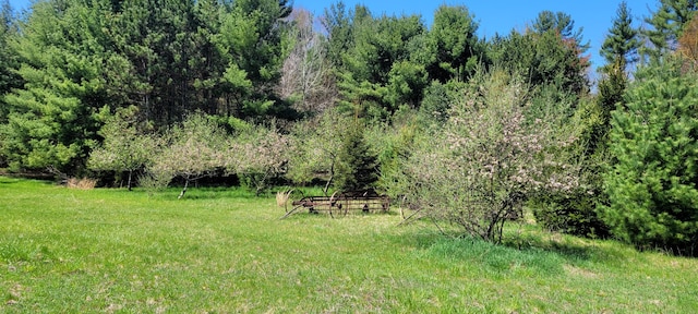 3771 E Loop Rd, Hesperia, MI 49421 - view of woods