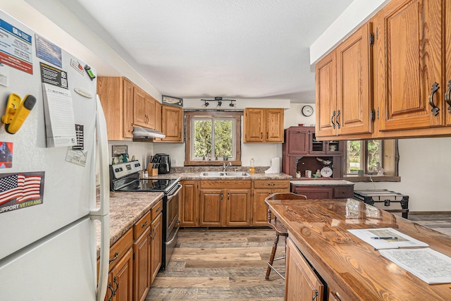 3771 E Loop Rd, Hesperia, MI 49421 - kitchen with freestanding refrigerator, stainless steel electric range oven, under cabinet range hood, a sink, and light wood-style floors