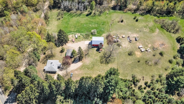 3771 E Loop Rd, Hesperia, MI 49421 - aerial view of sparsely populated area