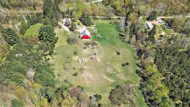 3771 E Loop Rd, Hesperia, MI 49421 - aerial overview of property's location