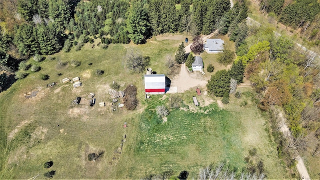 3771 E Loop Rd, Hesperia, MI 49421 - view of property location