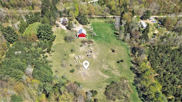 3771 E Loop Rd, Hesperia, MI 49421 - aerial view of property's location
