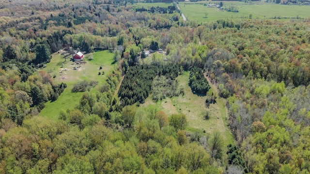 3771 E Loop Rd, Hesperia, MI 49421 - aerial view of property's location with a forest