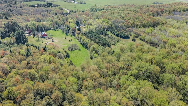 3771 E Loop Rd, Hesperia, MI 49421 - aerial overview of property's location with a forest and rural landscape