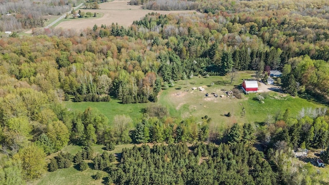 3771 E Loop Rd, Hesperia, MI 49421 - aerial view of property's location with a forest