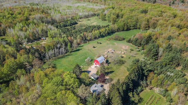 3771 E Loop Rd, Hesperia, MI 49421 - aerial overview of property's location with a forest